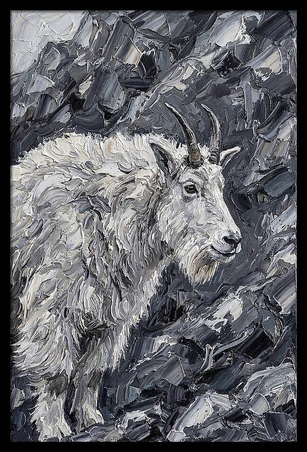 Mountain Goat Among Rocks
