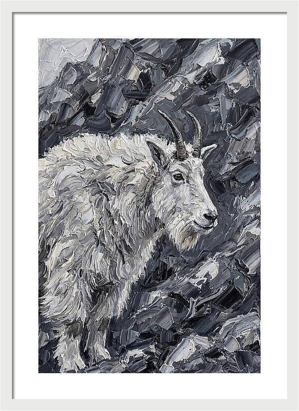 Mountain Goat Among Rocks