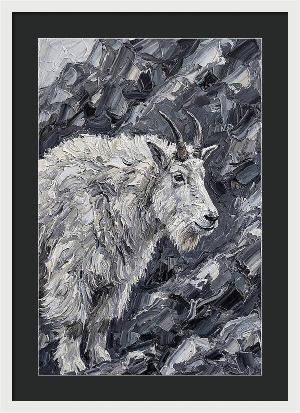 Mountain Goat Among Rocks
