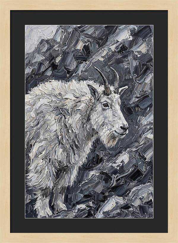 Mountain Goat Among Rocks
