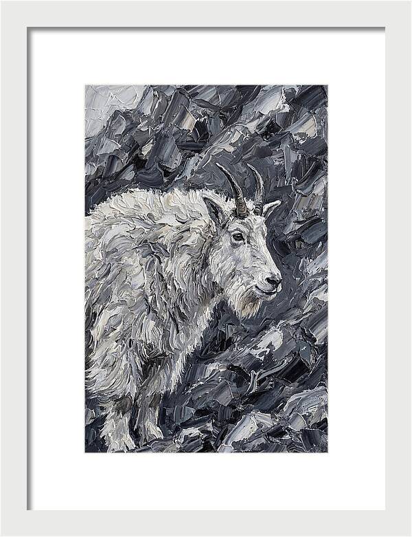 Mountain Goat Among Rocks