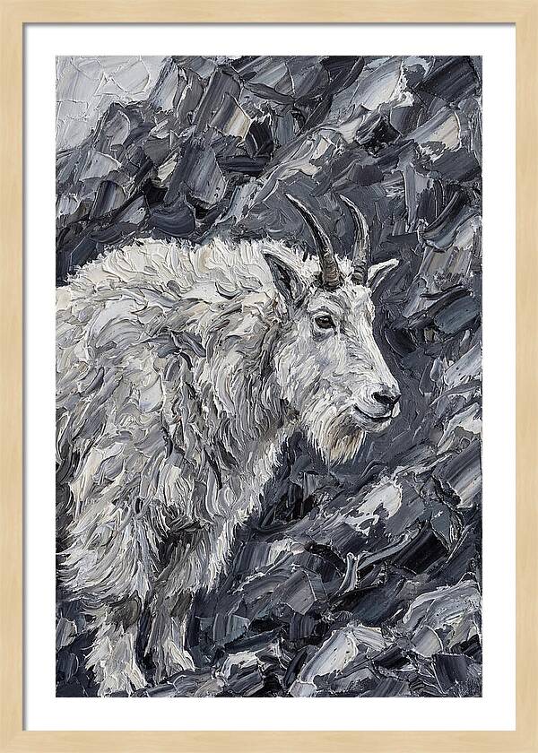 Mountain Goat Among Rocks