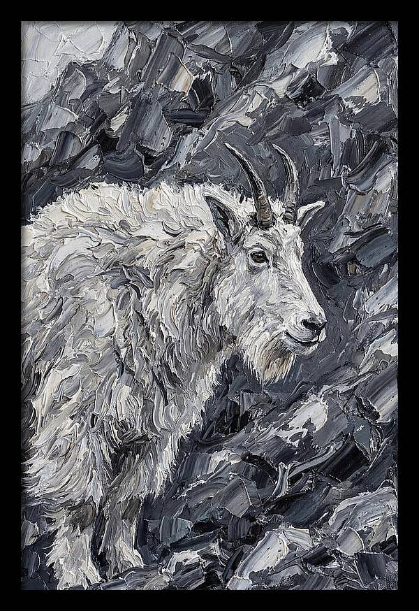 Mountain Goat Among Rocks