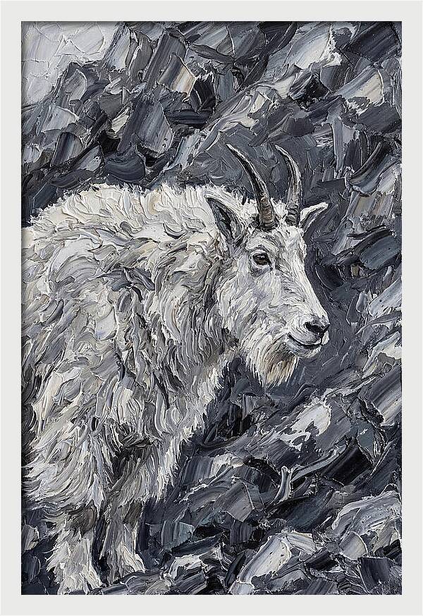 Mountain Goat Among Rocks