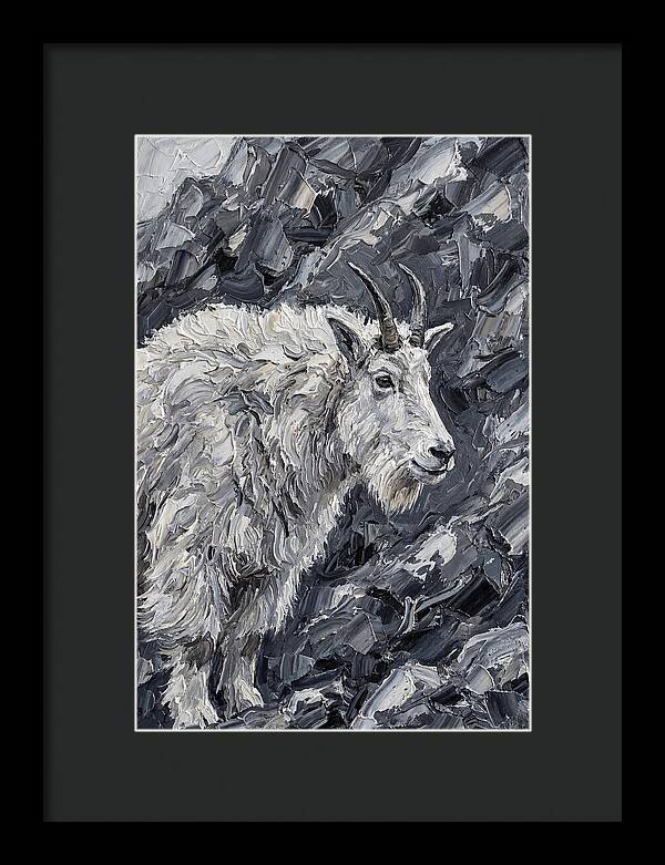 Mountain Goat Among Rocks