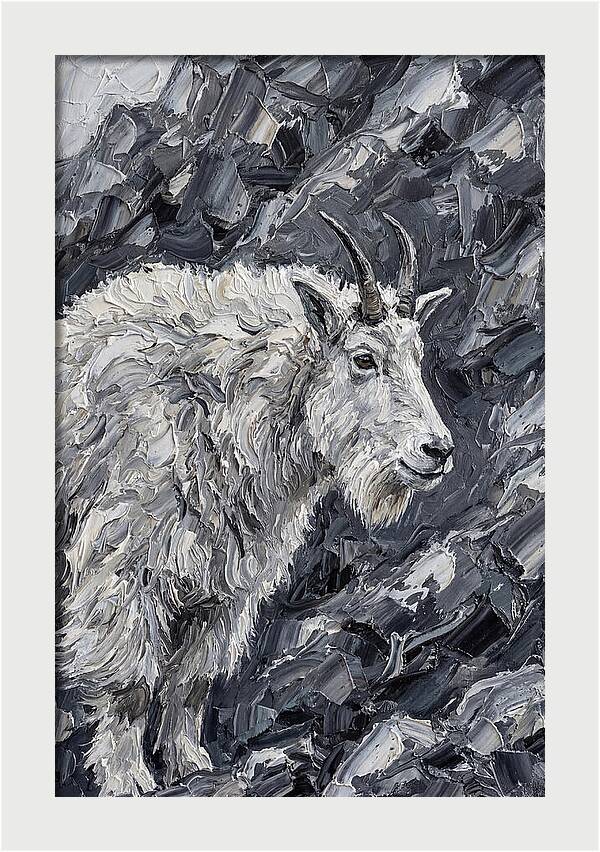 Mountain Goat Among Rocks