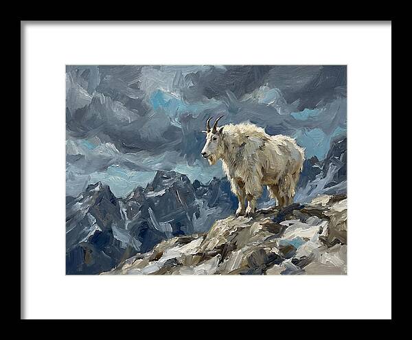 Mountain Goat On A Rocky Summit