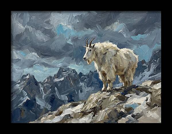 Mountain Goat On A Rocky Summit