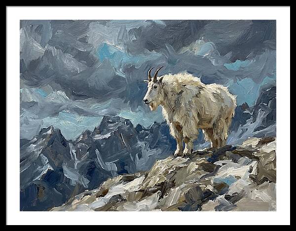 Mountain Goat On A Rocky Summit