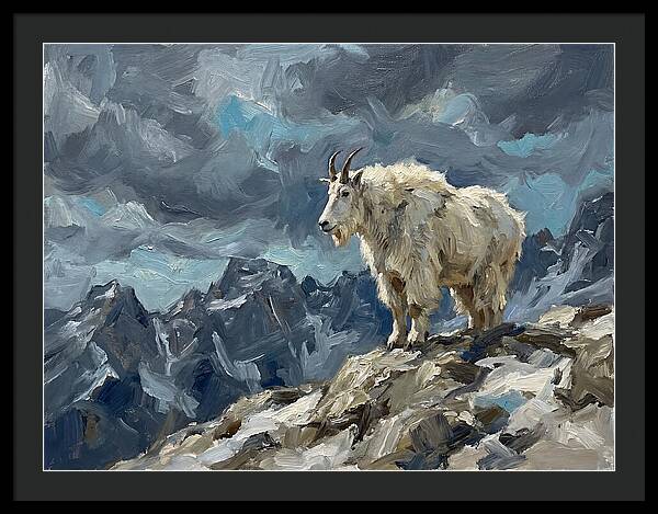 Mountain Goat On A Rocky Summit