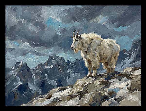 Mountain Goat On A Rocky Summit