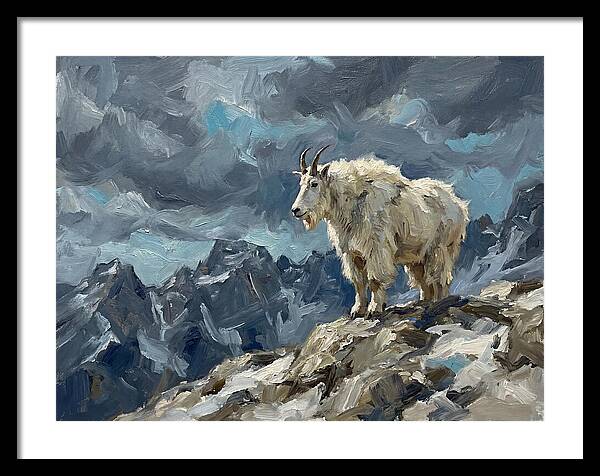 Mountain Goat On A Rocky Summit