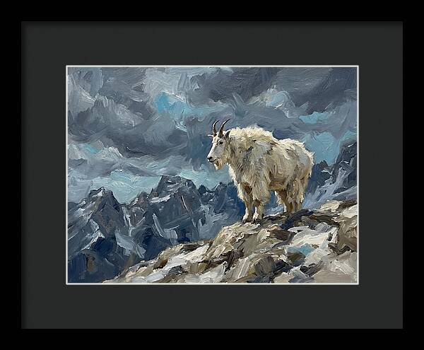 Mountain Goat On A Rocky Summit