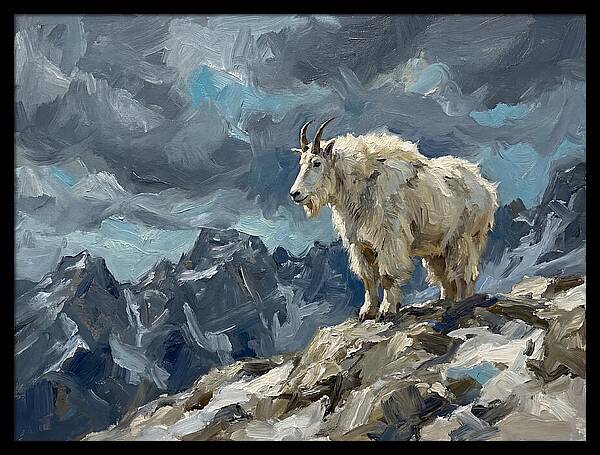 Mountain Goat On A Rocky Summit