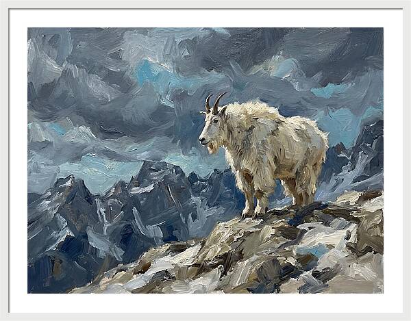 Mountain Goat On A Rocky Summit