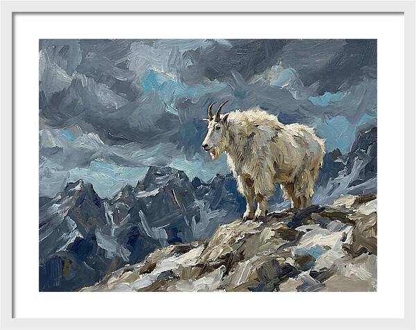 Mountain Goat On A Rocky Summit