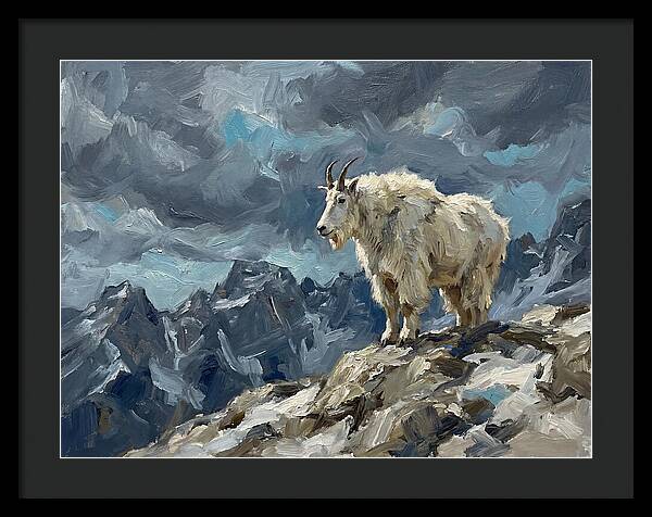 Mountain Goat On A Rocky Summit