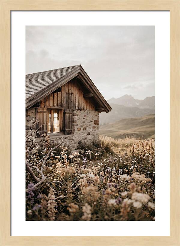 Mountain Hut Surrounded By Alpine Wildflowers