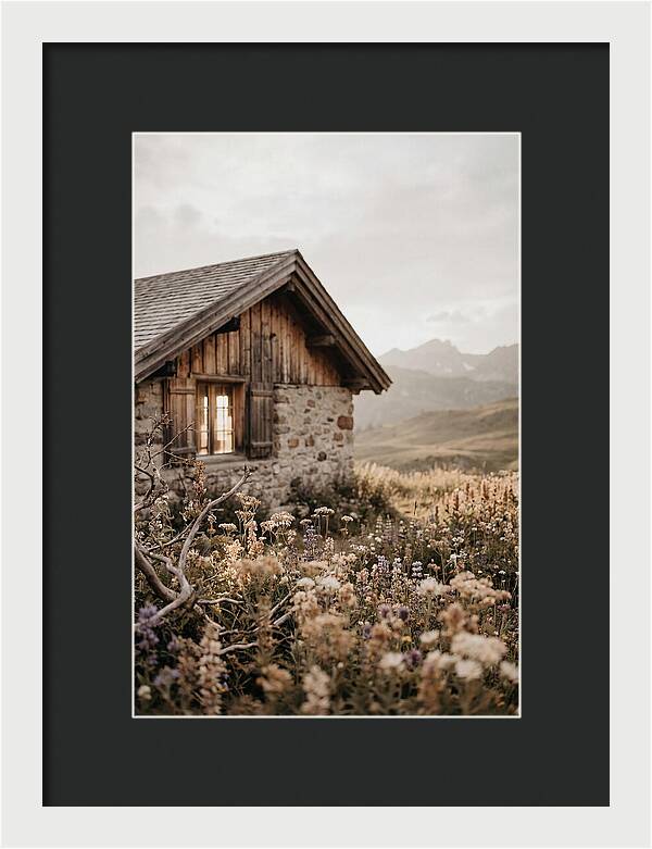 Mountain Hut Surrounded By Alpine Wildflowers