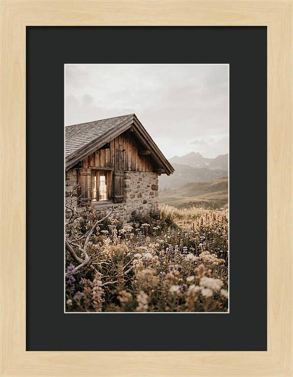 Mountain Hut Surrounded By Alpine Wildflowers