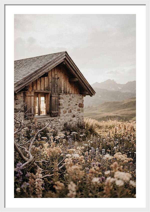 Mountain Hut Surrounded By Alpine Wildflowers