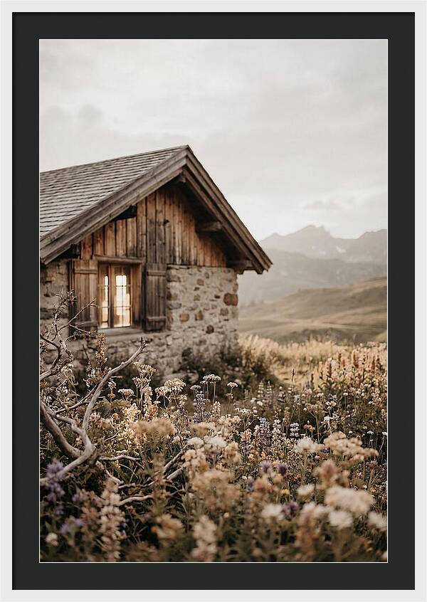 Mountain Hut Surrounded By Alpine Wildflowers