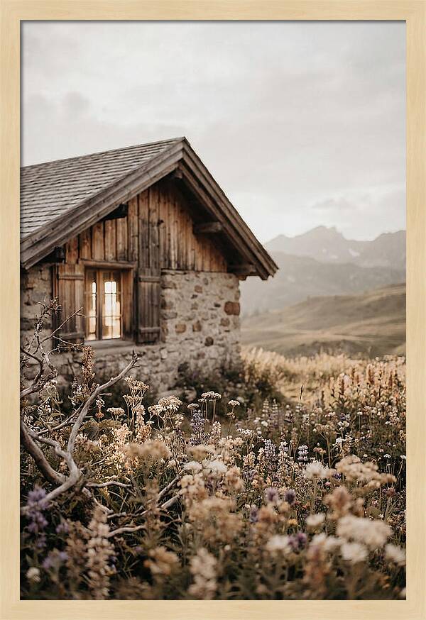 Mountain Hut Surrounded By Alpine Wildflowers