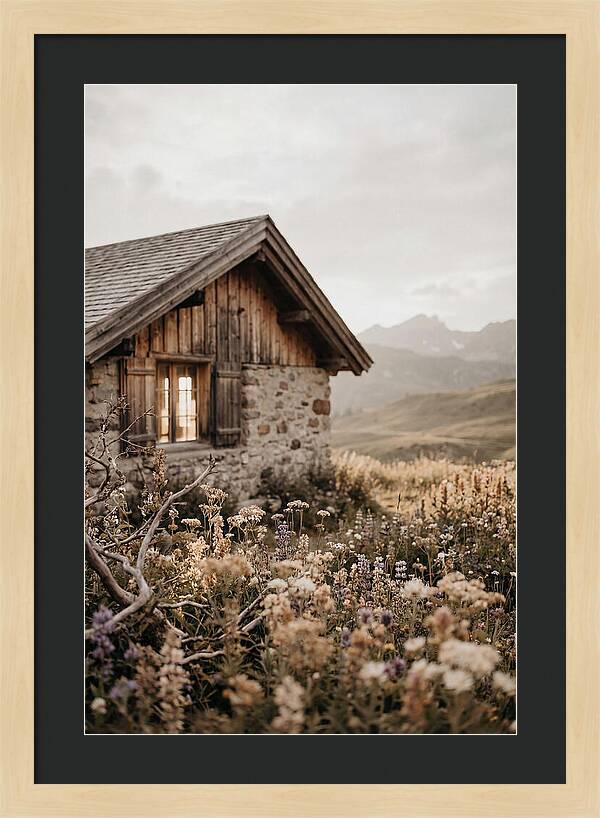Mountain Hut Surrounded By Alpine Wildflowers