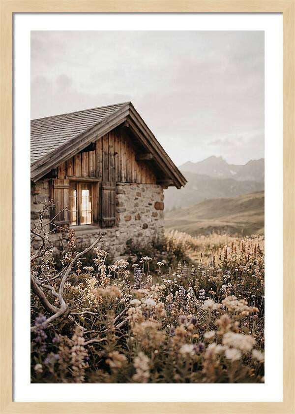 Mountain Hut Surrounded By Alpine Wildflowers
