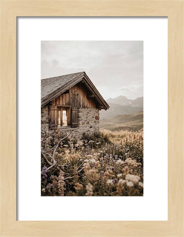 Mountain Hut Surrounded By Alpine Wildflowers