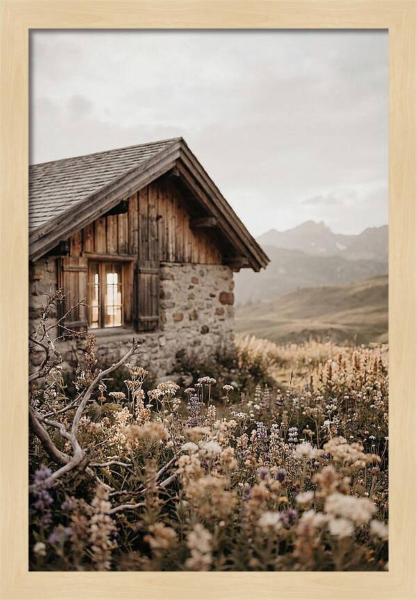 Mountain Hut Surrounded By Alpine Wildflowers