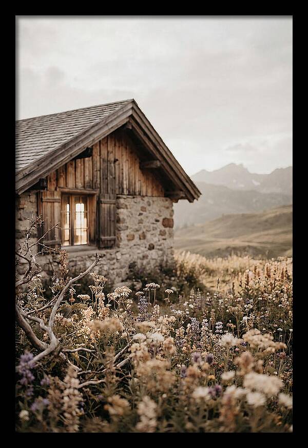 Mountain Hut Surrounded By Alpine Wildflowers