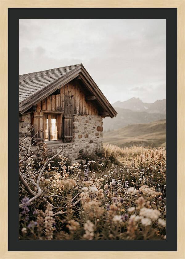 Mountain Hut Surrounded By Alpine Wildflowers