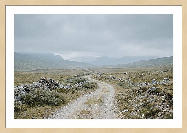 Mountain Shepherd Trail Through Alpine