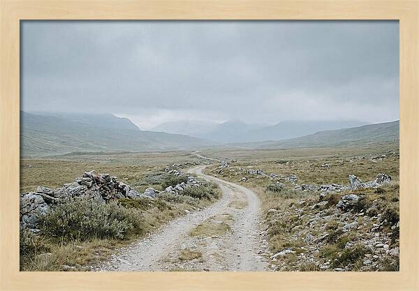Mountain Shepherd Trail Through Alpine