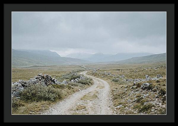 Mountain Shepherd Trail Through Alpine
