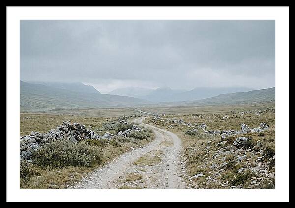 Mountain Shepherd Trail Through Alpine