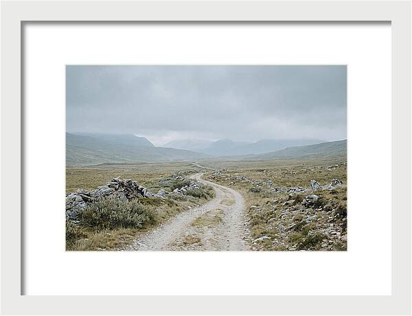 Mountain Shepherd Trail Through Alpine