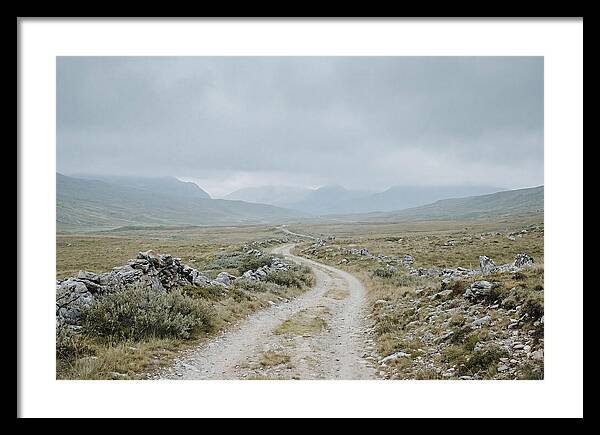 Mountain Shepherd Trail Through Alpine