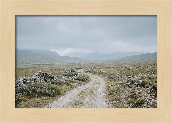 Mountain Shepherd Trail Through Alpine