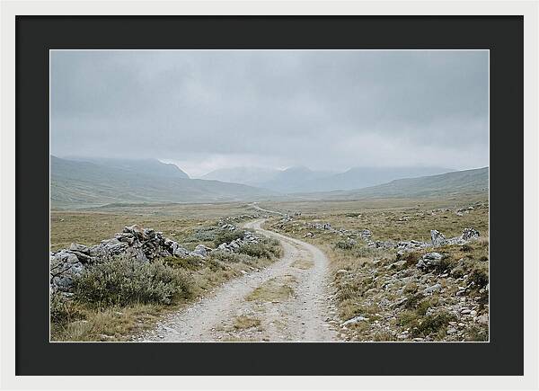 Mountain Shepherd Trail Through Alpine