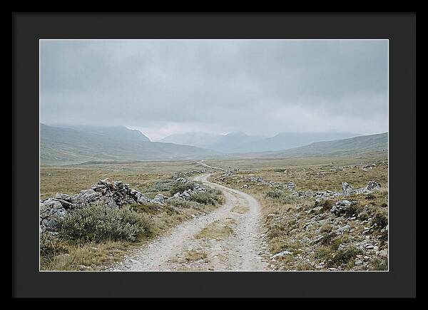 Mountain Shepherd Trail Through Alpine