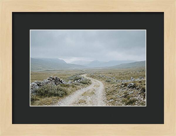 Mountain Shepherd Trail Through Alpine
