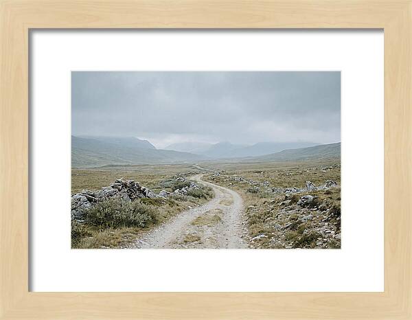 Mountain Shepherd Trail Through Alpine