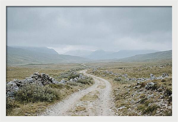 Mountain Shepherd Trail Through Alpine