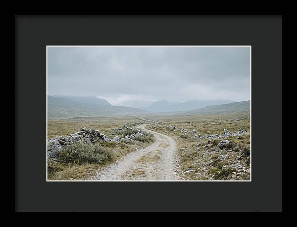 Mountain Shepherd Trail Through Alpine