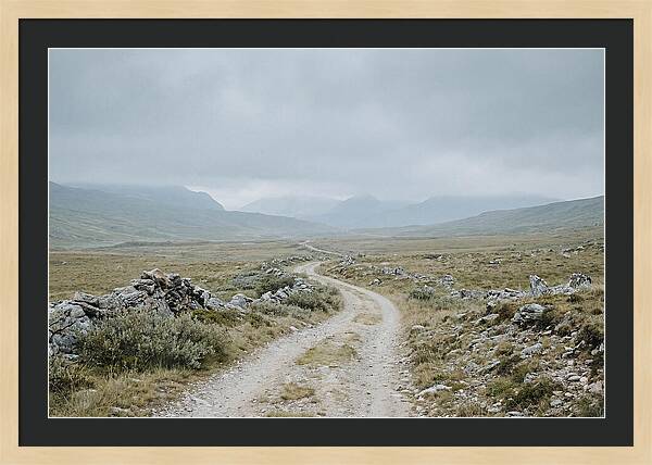 Mountain Shepherd Trail Through Alpine