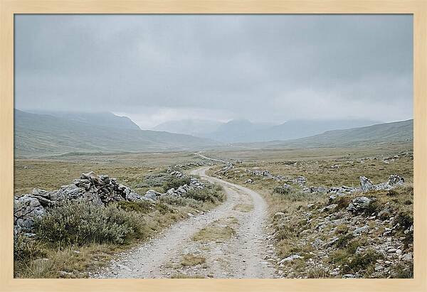 Mountain Shepherd Trail Through Alpine