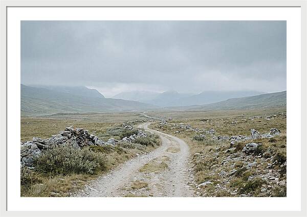 Mountain Shepherd Trail Through Alpine