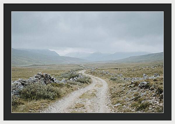 Mountain Shepherd Trail Through Alpine